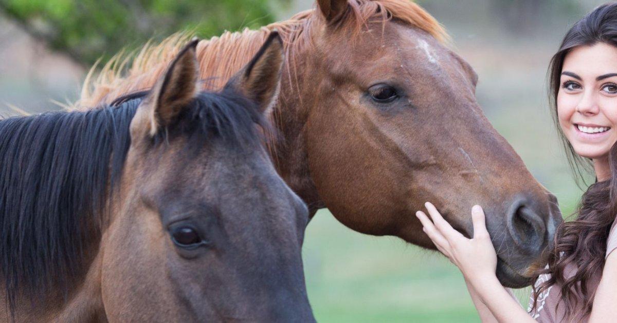 The Shocking Cost Of Horse Ownership