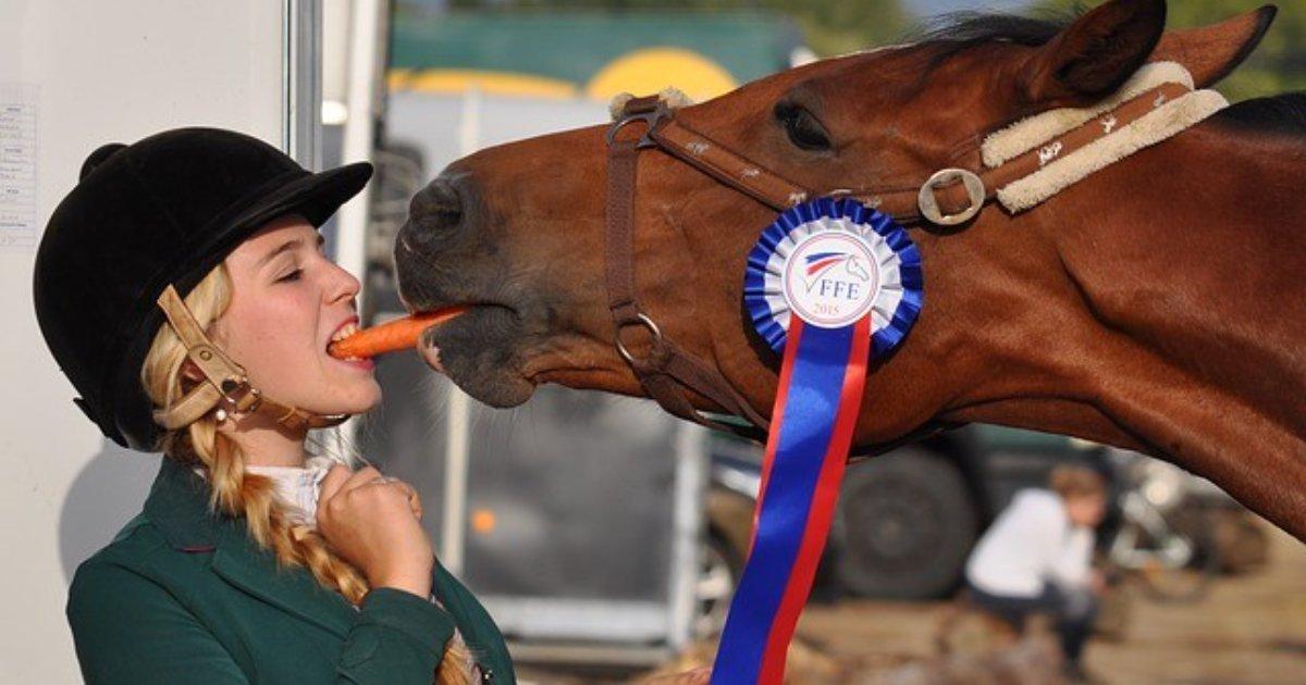 Feeding Your Horse in Winter