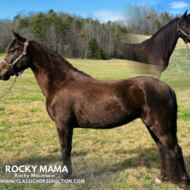 ROCKY MAMA