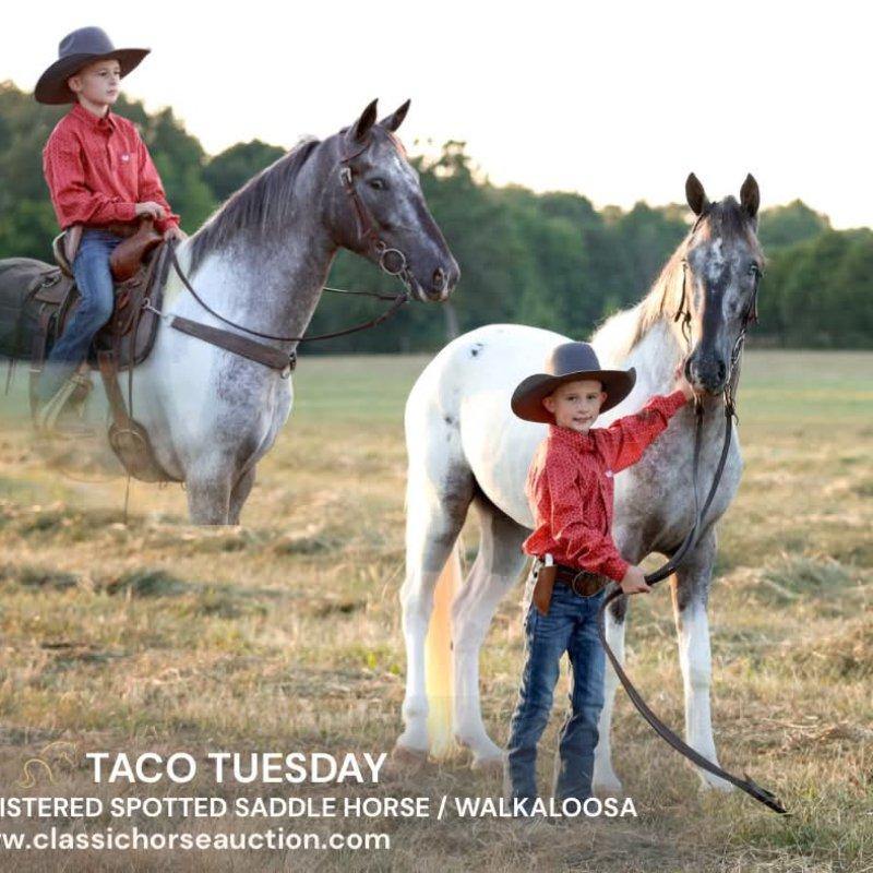 TACO