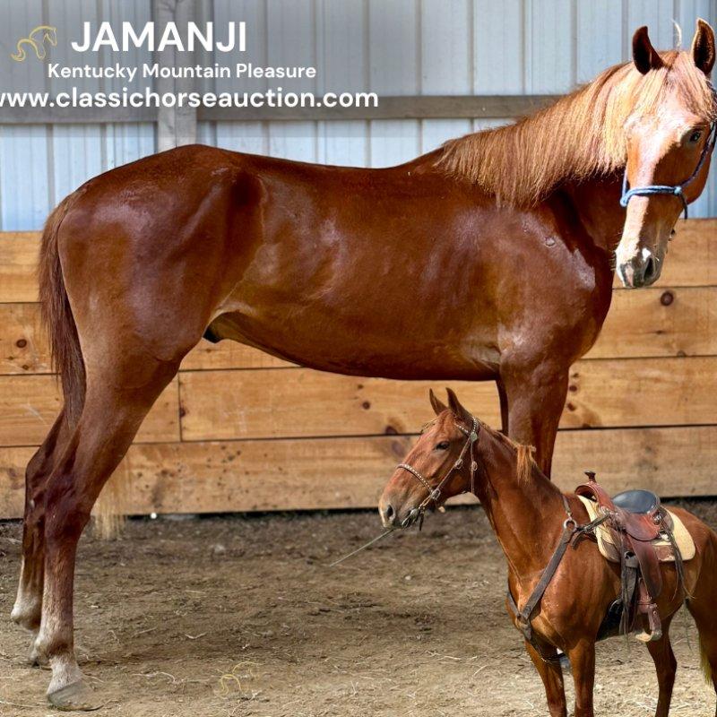 JAMANJI