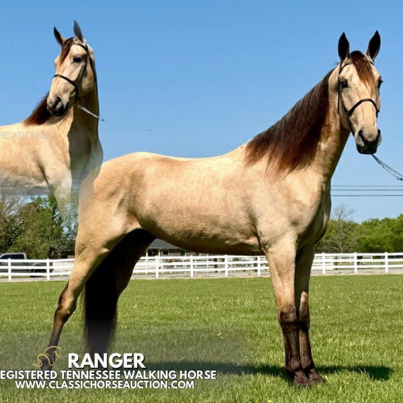 RANGER