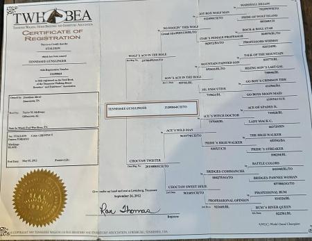 TENNESSEE GUNSLINGER 