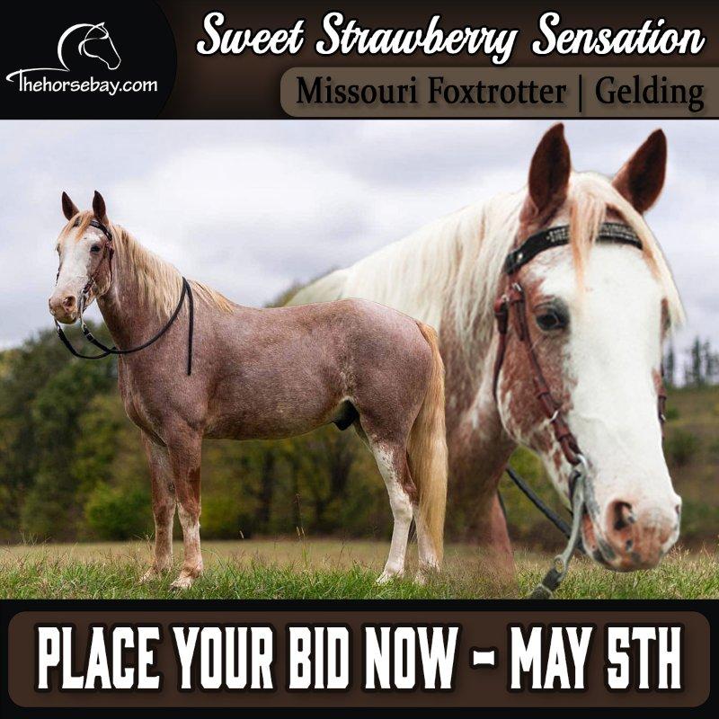 Sweet Strawberry Sensation “Strawberry”