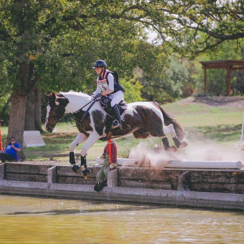 Flashy Paint Pony Eventer with Scope, Heart & Rideability