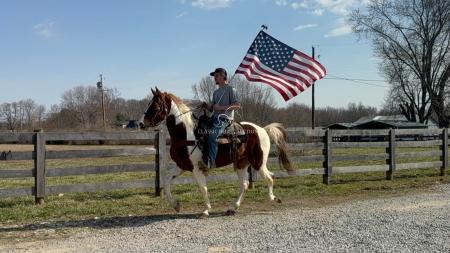 TENNESSEE GUNSLINGER 