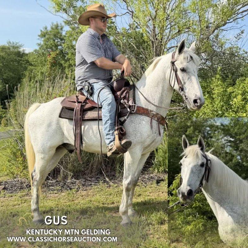 GUS
