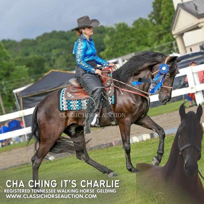CHA CHING IT'S DIRTY CHARLIE