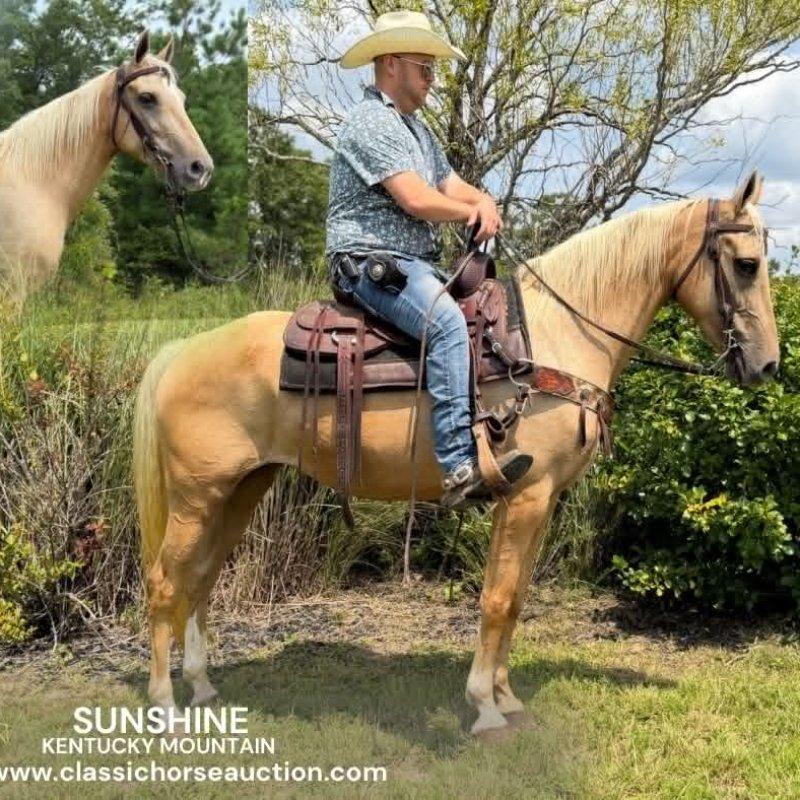SUNSHINE