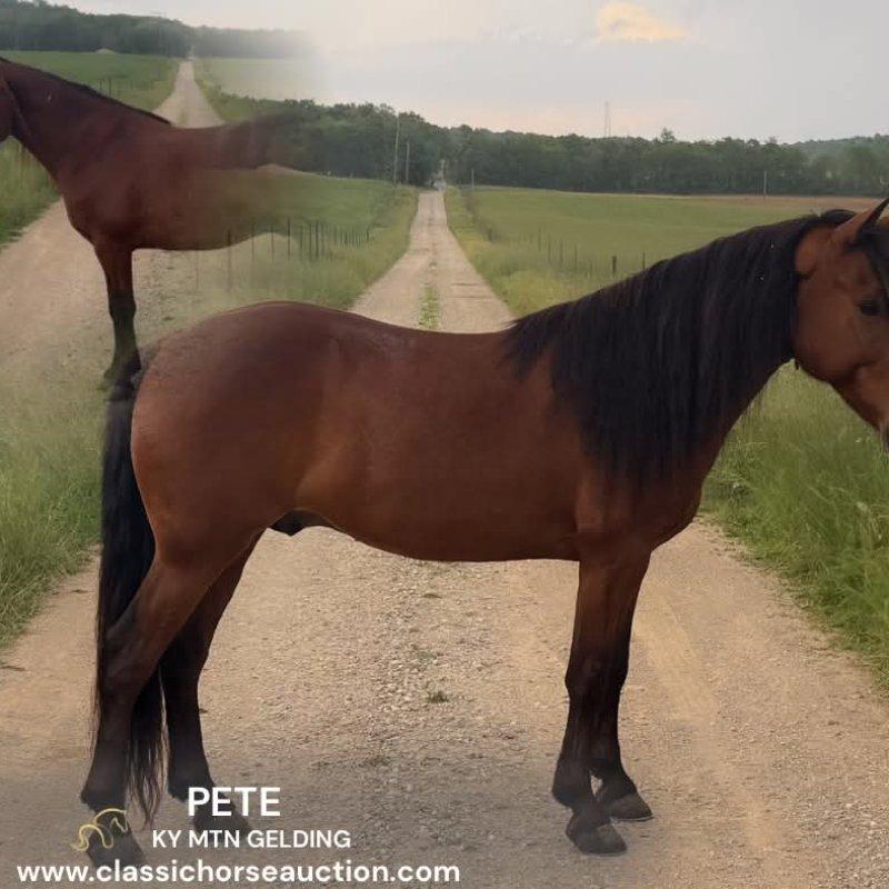 PETE