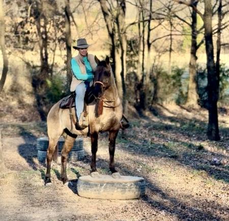 Grulla Missouri Foxtrotter Mare For Sale | Consigned to Thehorsebay.com