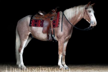 Sweet Strawberry Sensation