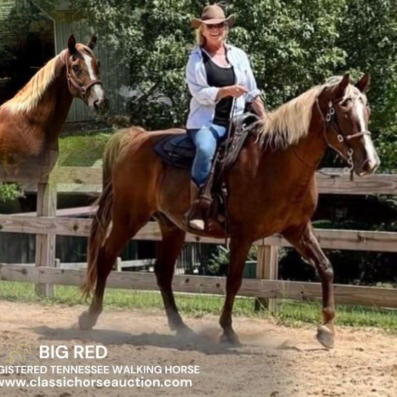 BIG RED