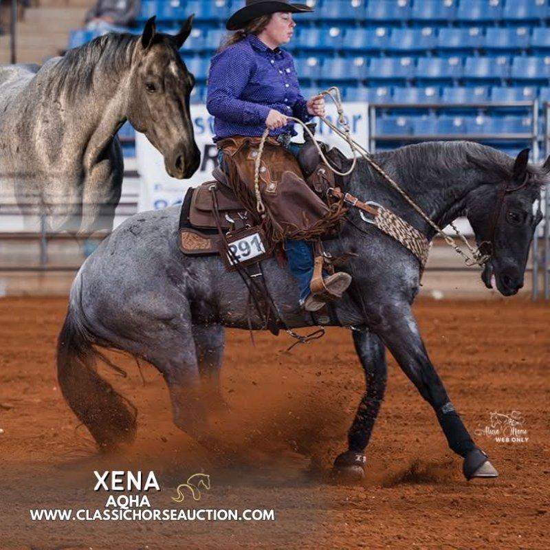 XENA