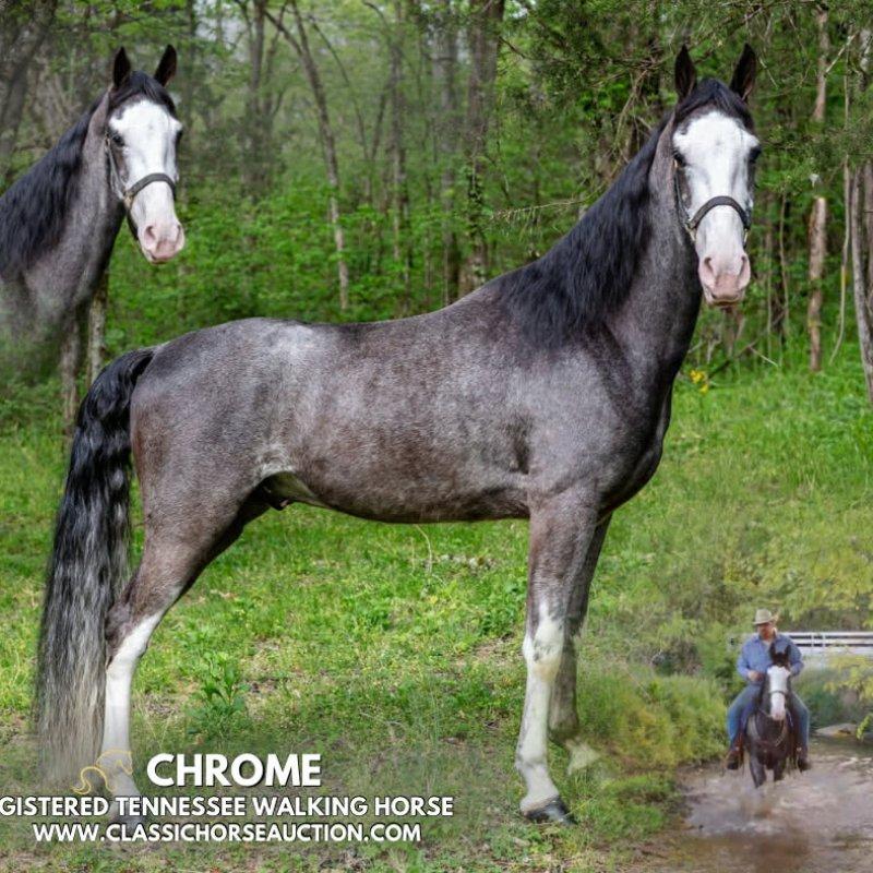 CHROME