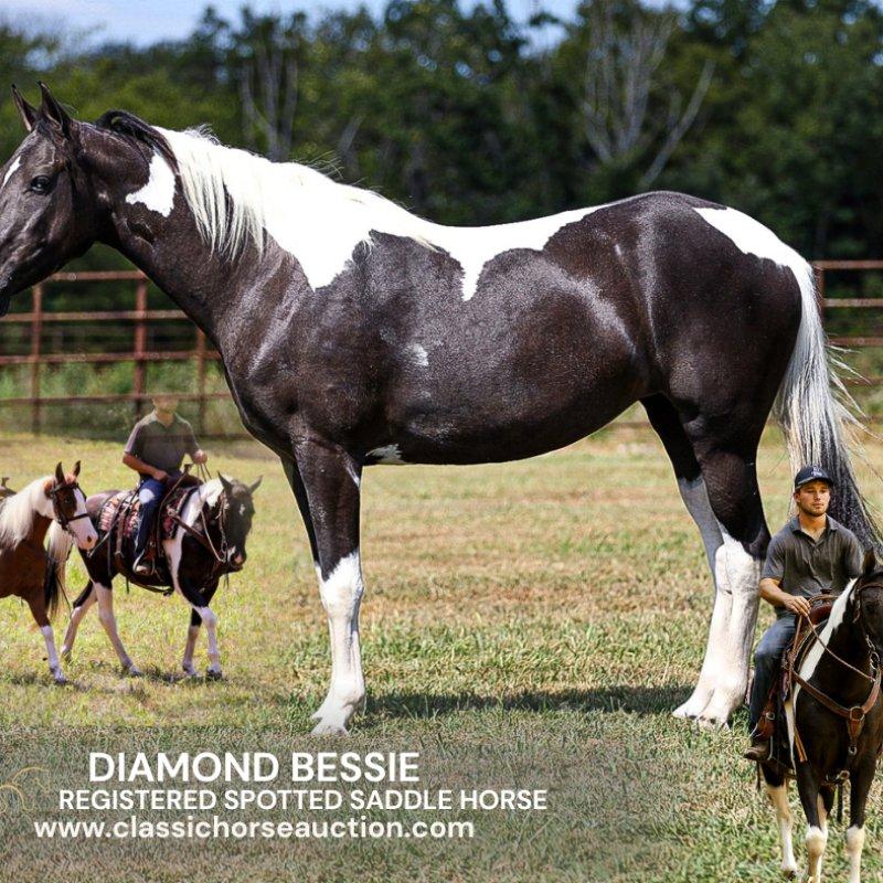DIAMOND BESSIE