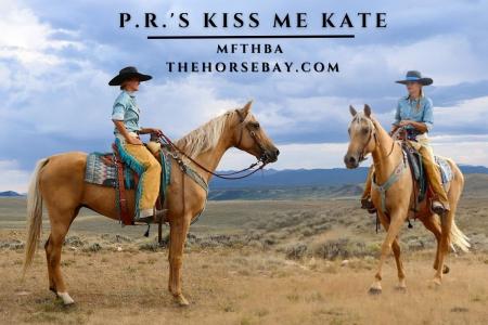 2015 Palomino Registered MFTHBA Mare - Driving/Trail/Ranch