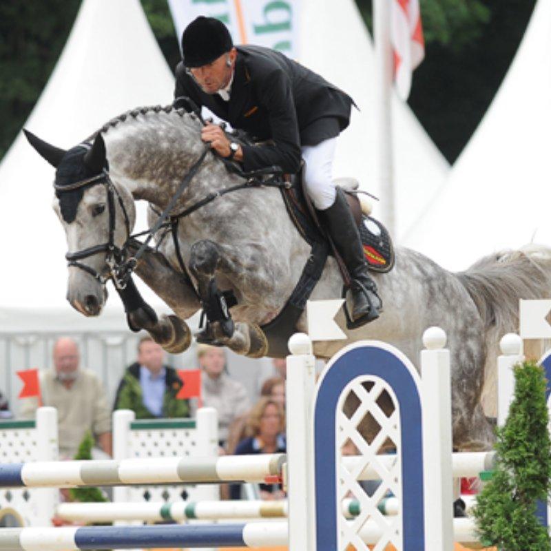 An Approved & Outstanding 1.35m Athletic ShowJumper