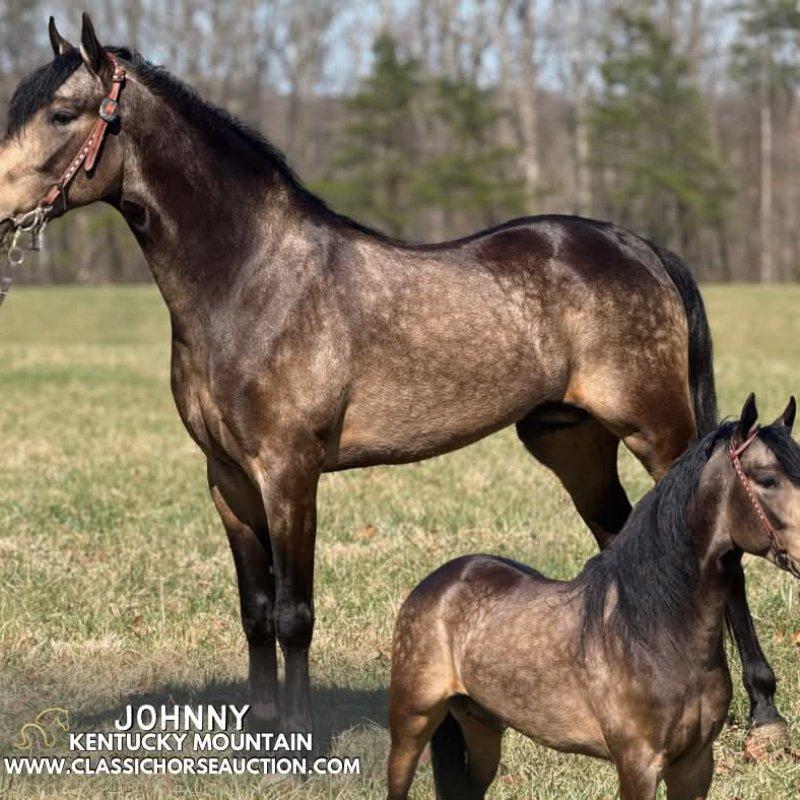 JOHNNY