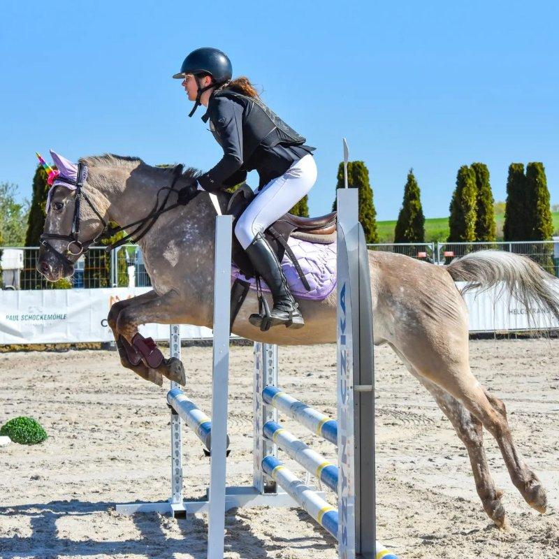 Talented 13.2hh Connemara Show Jumper