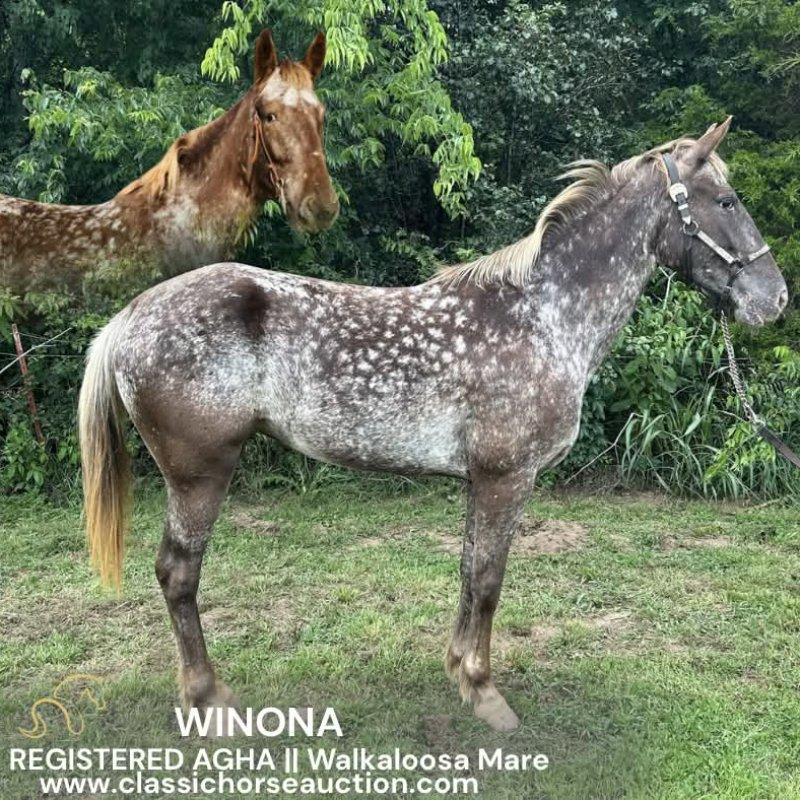 WINONA