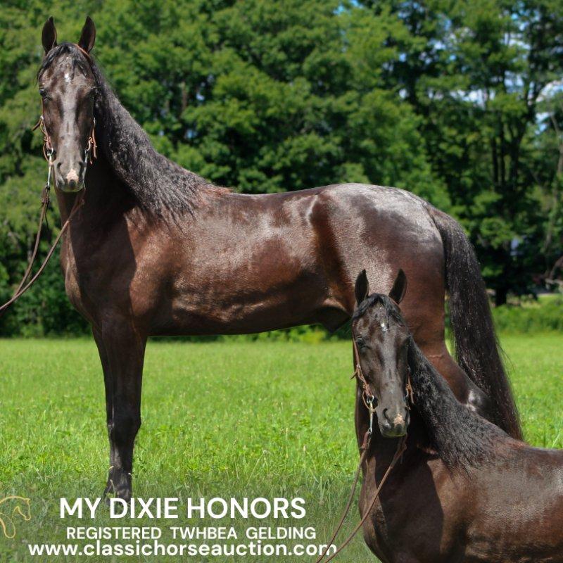 My Dixie Honors