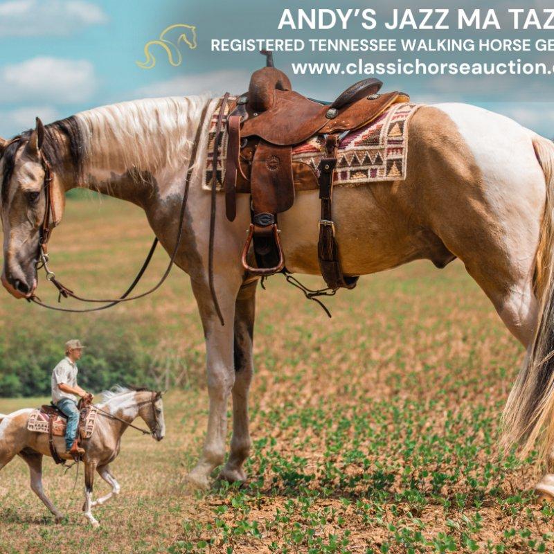 ANDY'S JAZZ MA TAZZ