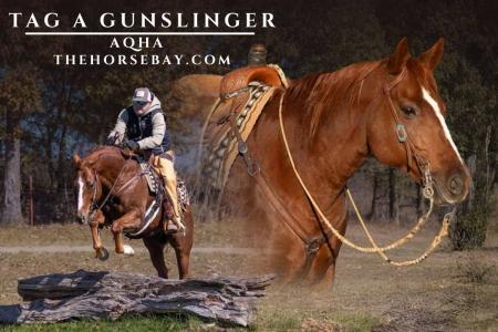 AQHA Sorrel Gelding (Hunter Jumper/Trail/Lesson)
