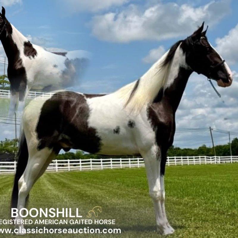 boonshill