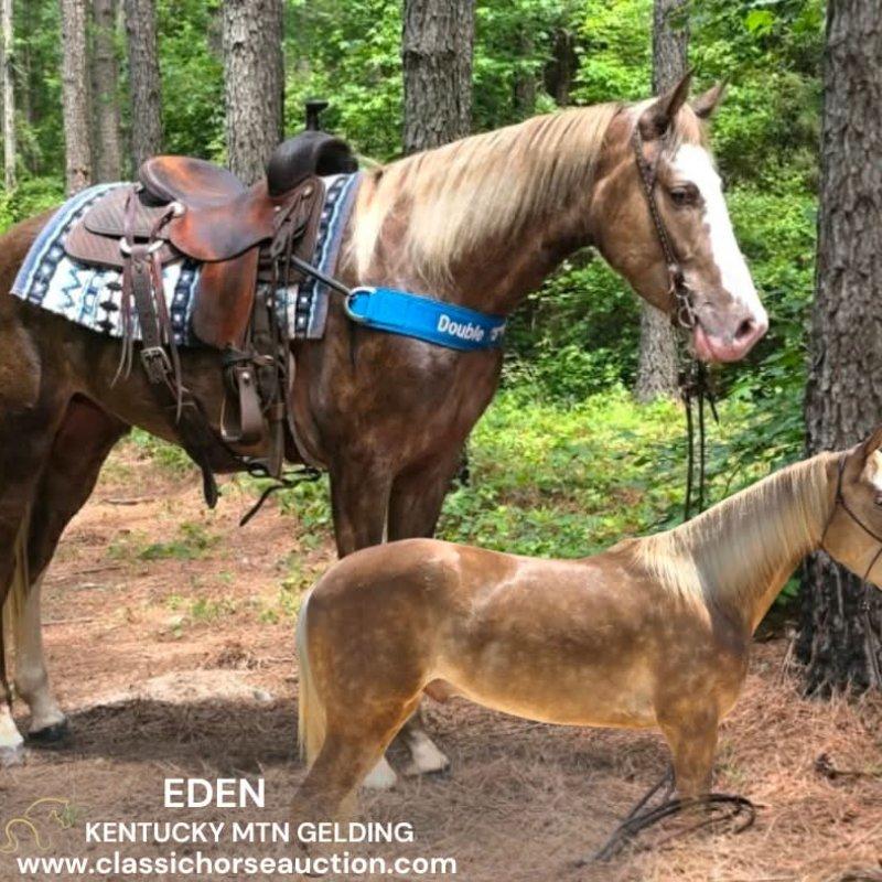 EDEN