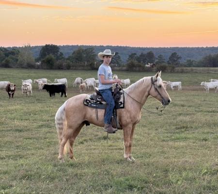 Romeo’s Wonder Boy H