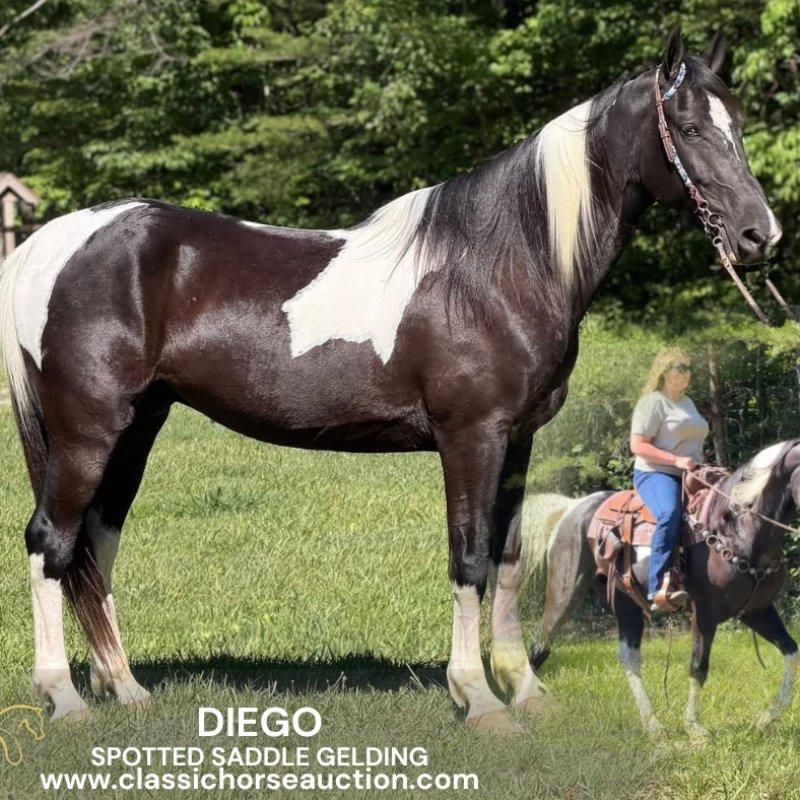 DIEGO