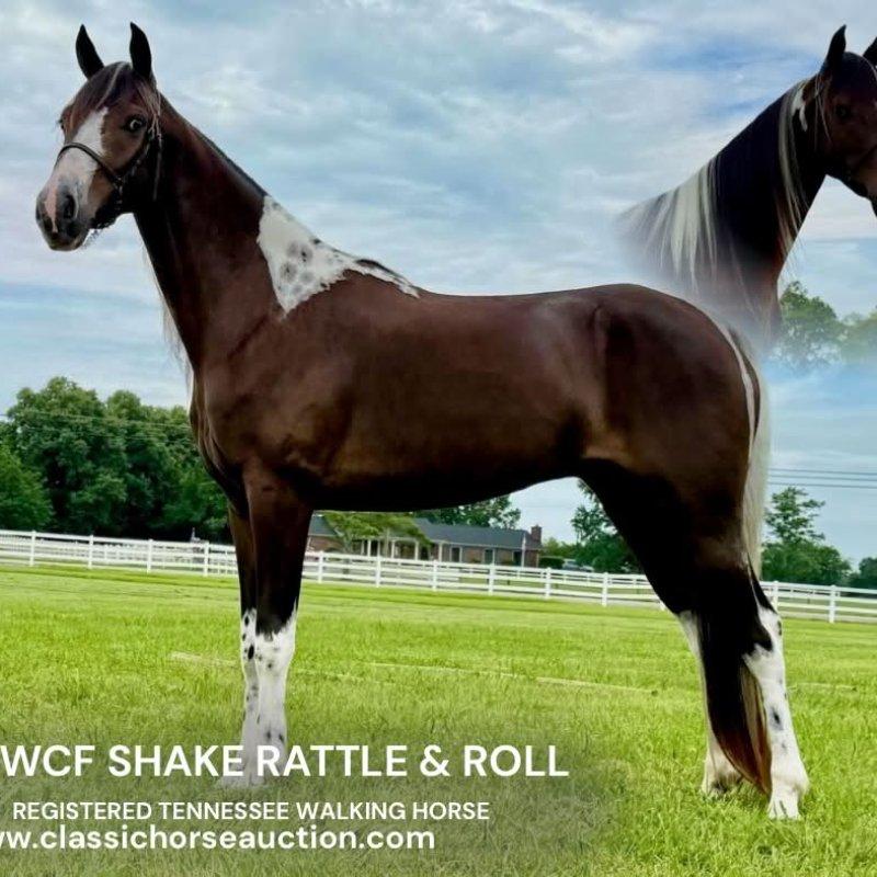 WCF SHAKE RATTLE & ROLL