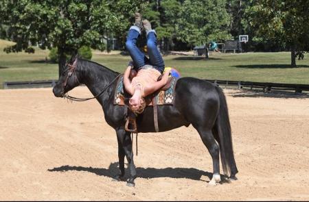 Name: Kohl. 2012 AQHA Gelding – Black, 14.3h – All-Round, Honest & Willing