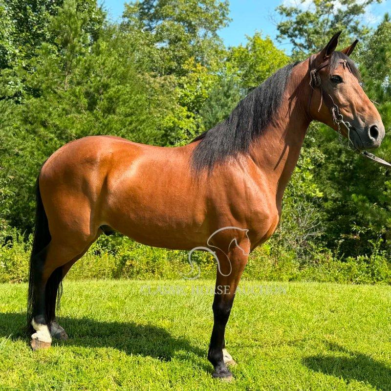 ROMEO