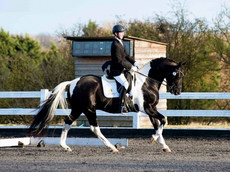 Eventing Eventing