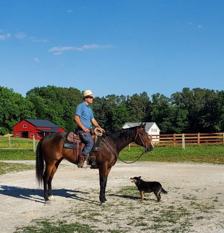 Seth, American Quarter Horse Gelding for sale in Kentucky