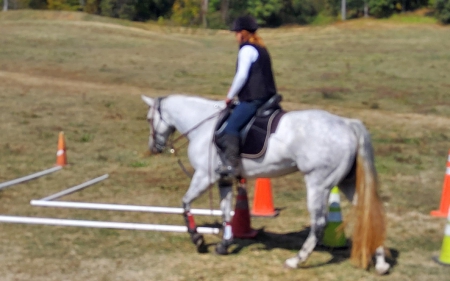 Gigi, American Quarter Horse Mare for sale in Tennessee