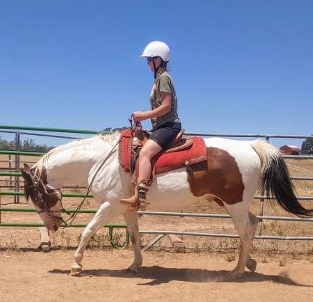 Justa Doc N Willy , American Paint Horse Association Gelding for sale in California