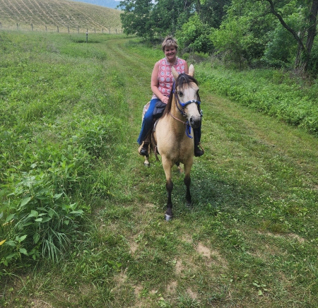 Jules, Tennessee Walking Horses Mare for sale in Virginia