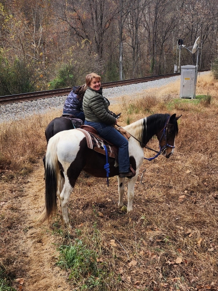 Ruby, Tennessee Walking Horses Mare for sale in Virginia