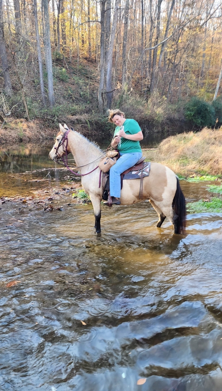 Jules, Tennessee Walking Horses Mare for sale in Virginia
