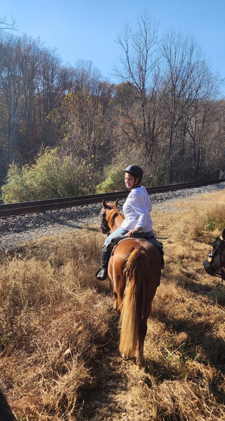 Maddi, Tennessee Walking Horses Mare for sale in Virginia