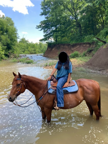 MISS ELUSIVE MAID, American Quarter Horse Mare for sale in Arkansas