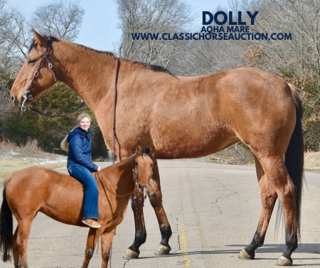 DOLLY, American Quarter Horse Mare for sale in Missouri