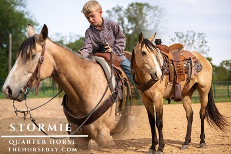 Buckskin Quarter Horse Mare, American Quarter Horse Mare for sale in Missouri