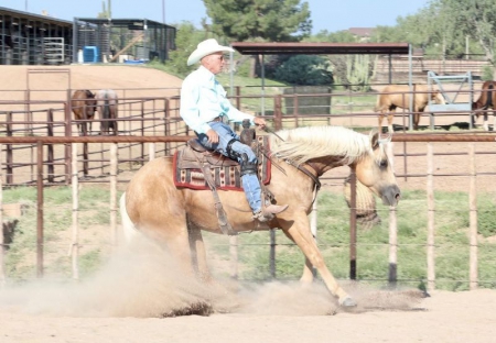 Quarter Horse Palomino Gelding 15 Hands (Hero), American Quarter Horse Gelding for sale in Tennessee