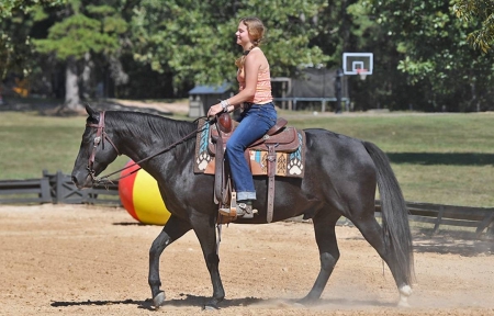 Name: Kohl. 2012 AQHA Gelding – Black, 14.3h – All-Round, Honest & Willing, American Quarter Horse Gelding for sale in California