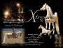 Xtreme To The Max, American Saddlebred Stallion at Stud in Washington