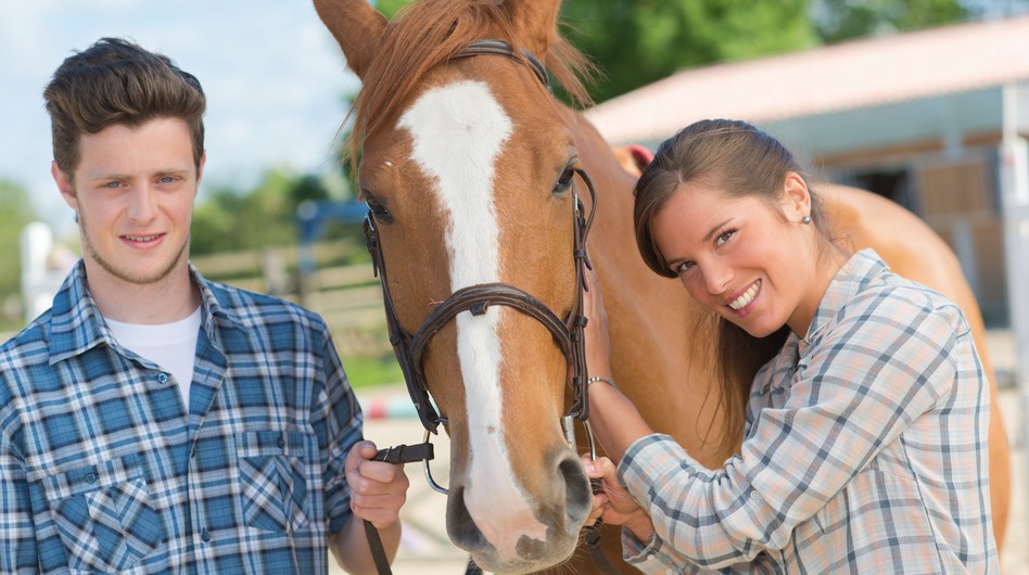 Gifts For Horse Lovers On A Budget? Here’s The Best You Can Buy Under $50